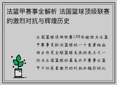 法篮甲赛事全解析 法国篮球顶级联赛的激烈对抗与辉煌历史